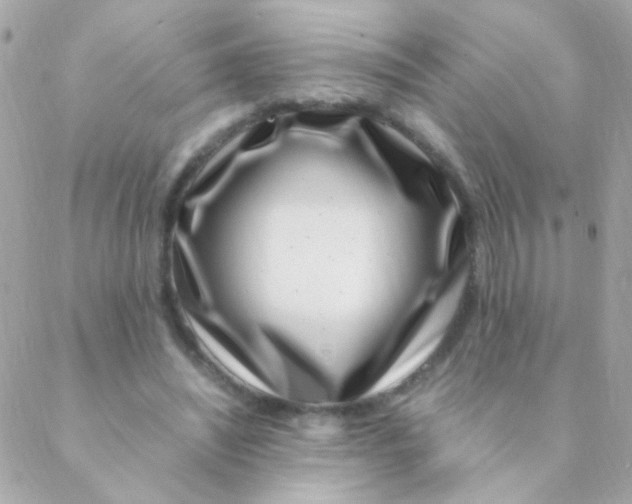 X0000088660444200706152036