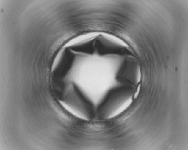 X0000088660445200706152036