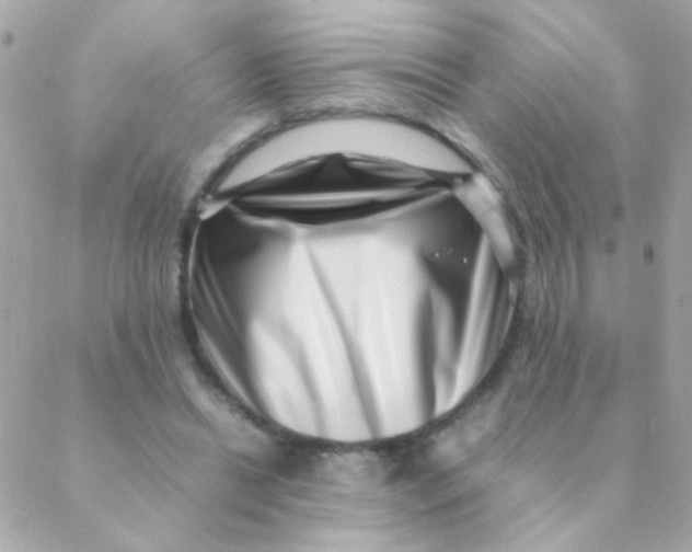 X0000088660446200706152036