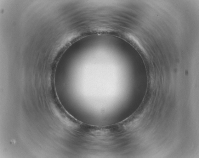 X0000088660447200706152036