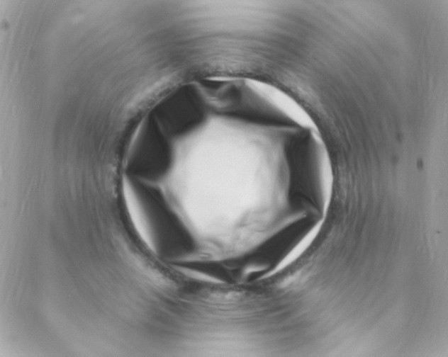 X0000088660450200706152037