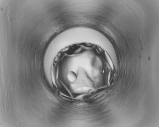 X0000088660452200706152037