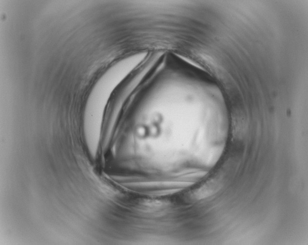 X0000088660453200706152037