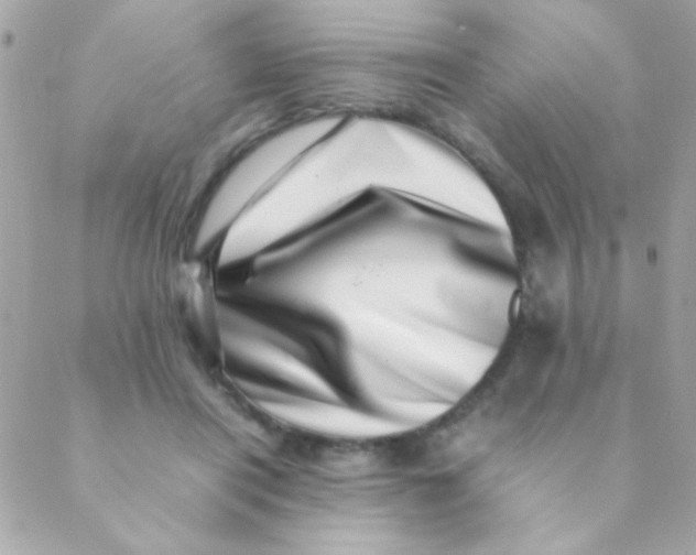 X0000088660454200706152037