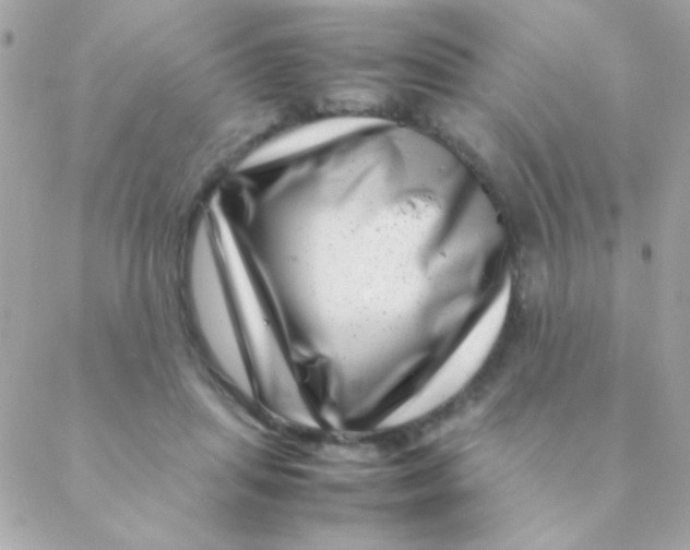 X0000088660455200706152037
