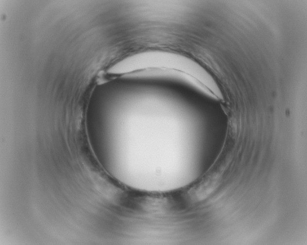 X0000088660458200706152037