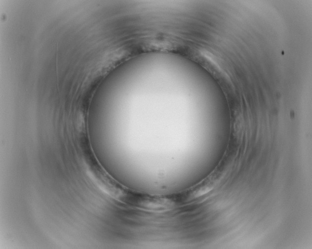 X0000088660459200706152037