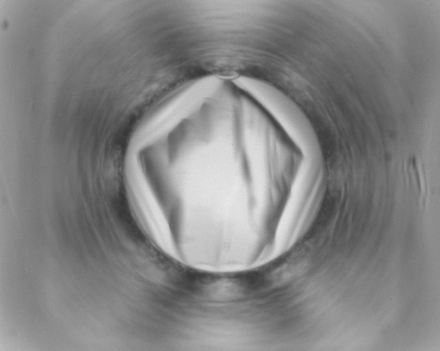 X0000088660460200706152037