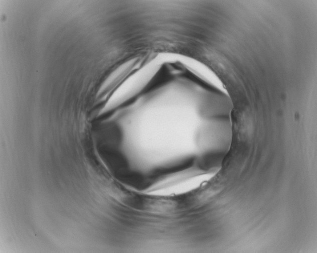 X0000088660463200706152037