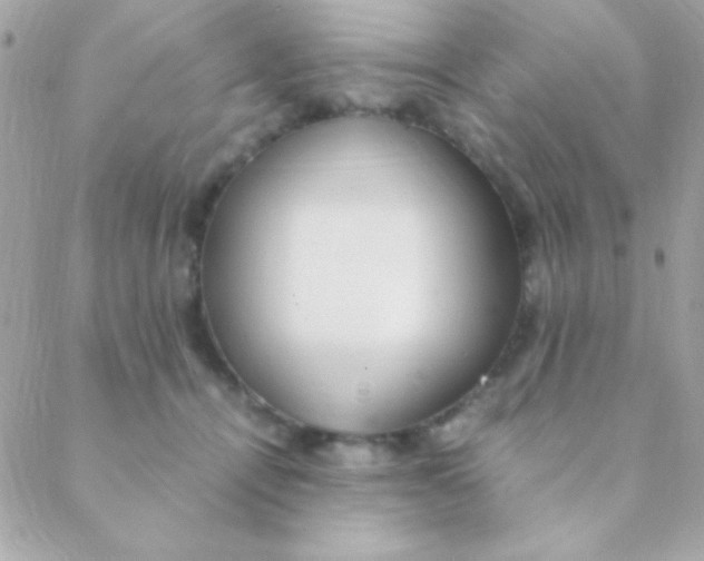 X0000088660464200706152037