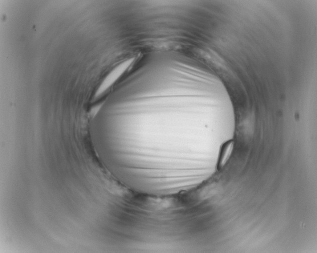 X0000088660469200706152037