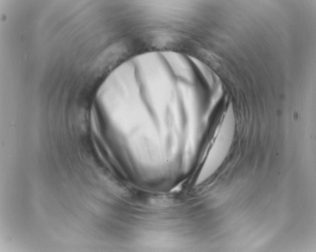 X0000088660470200706152037