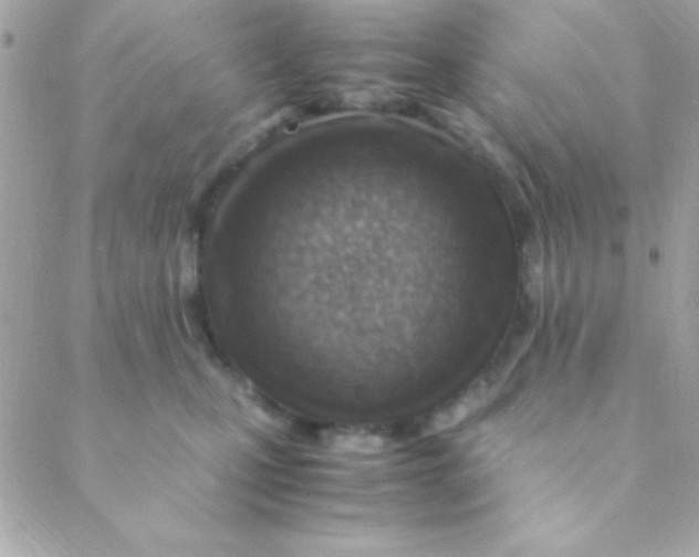 X0000088660471200706152037