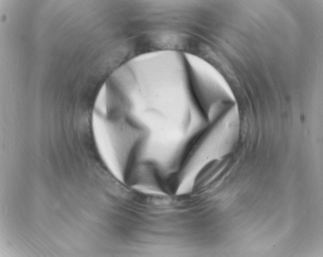 X0000088660473200706152037