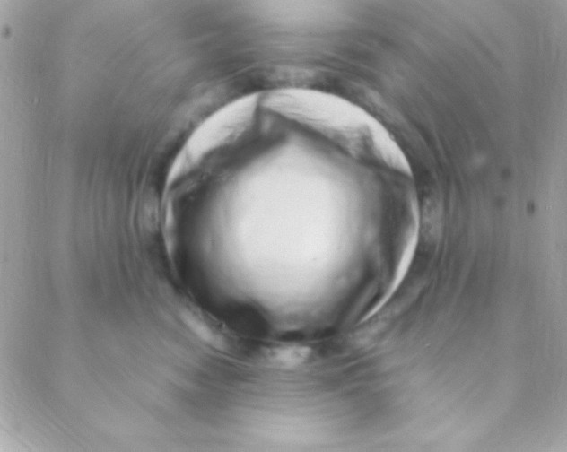 X0000088660474200706152037