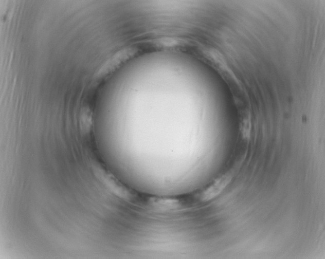 X0000088660476200706152037