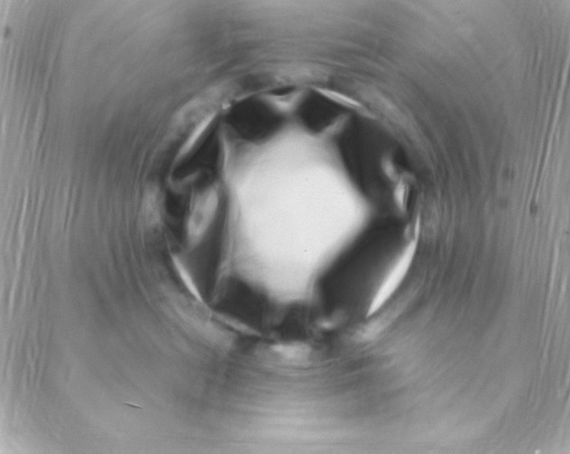 X0000088660478200706152037