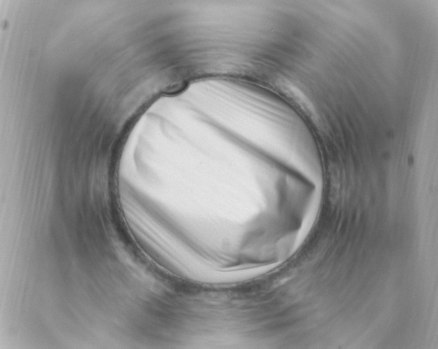 X0000088660482200706152036