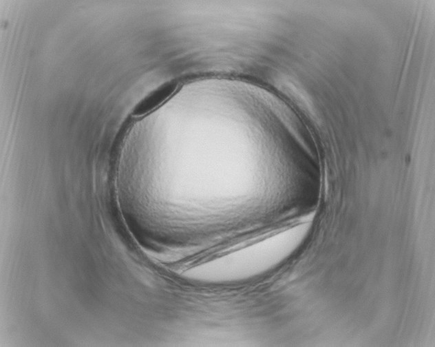 X0000088660483200706152036