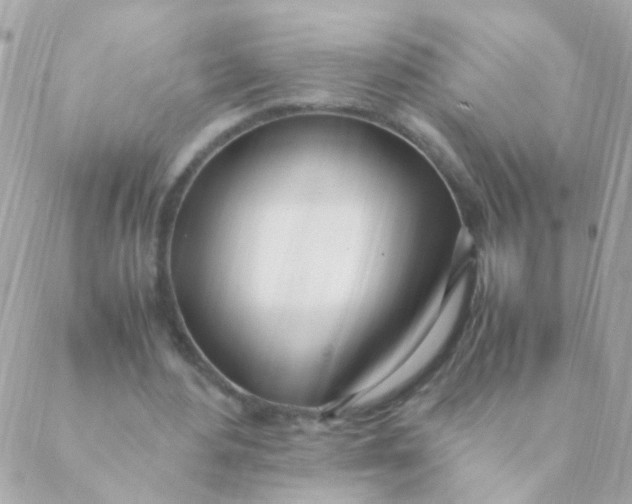 X0000088660484200706152036