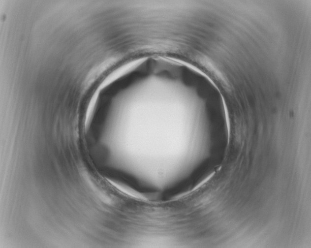 X0000088660486200706152036