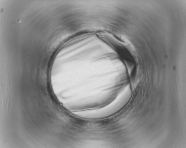 X0000088660487200706152036