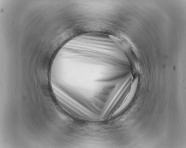 X0000088660489200706152036