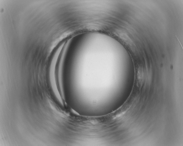 X0000088660492200706152036