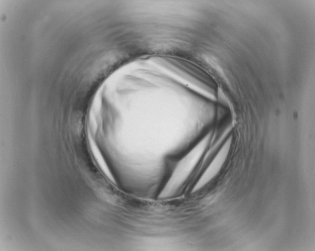 X0000088660495200706152036