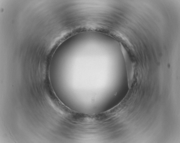 X0000088660496200706152036