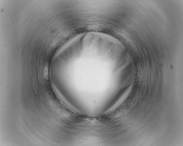 X0000088660502200706152036