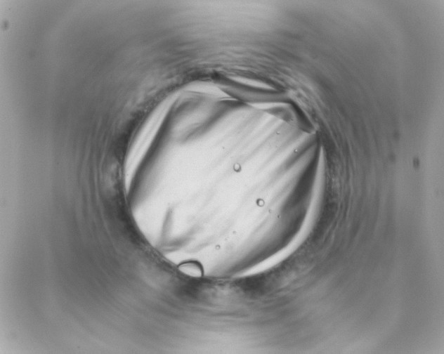 X0000088660503200706152036