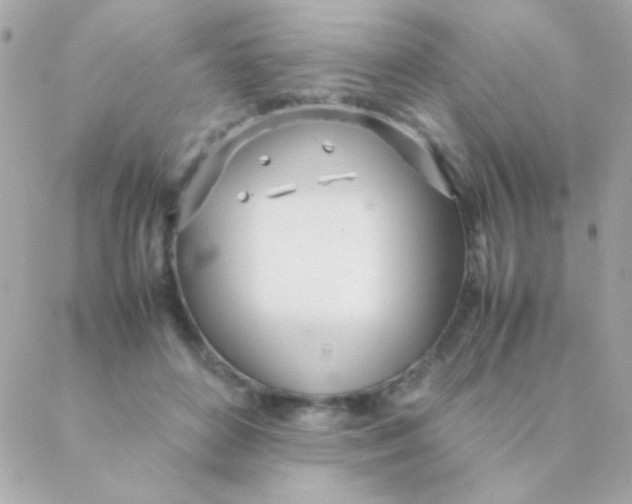 X0000088660504200706152036