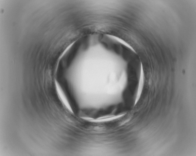 X0000088660506200706152036