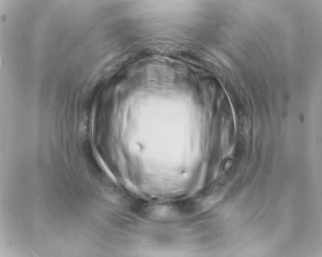 X0000088660507200706152036
