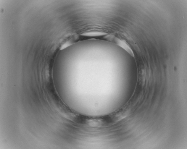 X0000088660508200706152036