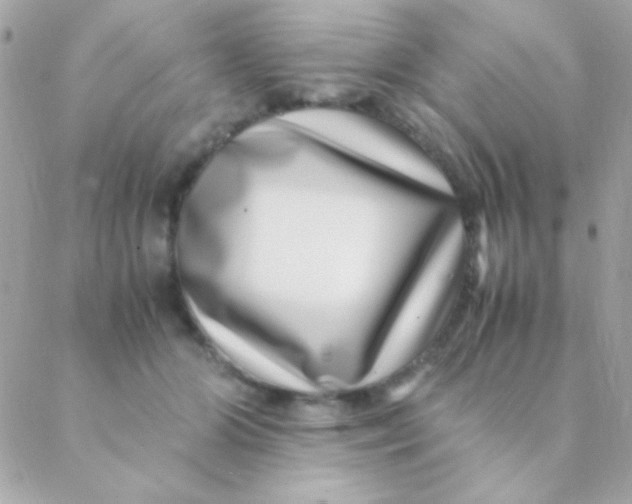 X0000088660510200706152036