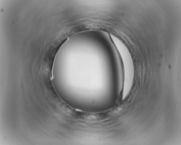 X0000088660513200706152036