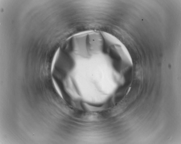 X0000088660514200706152036