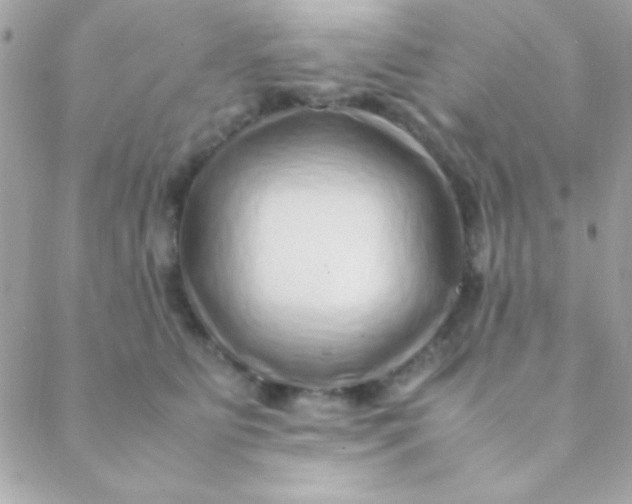 X0000088660515200706152036