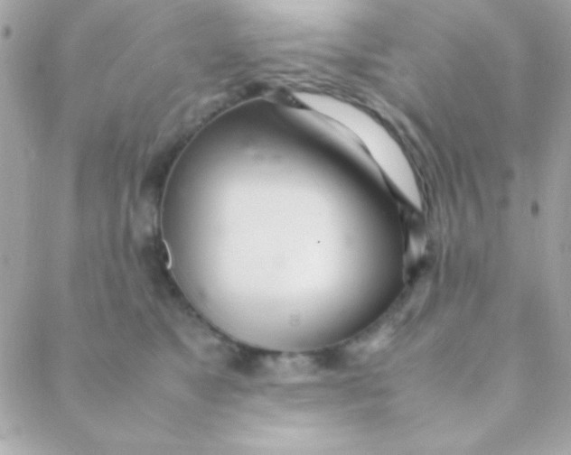 X0000088660517200706152036