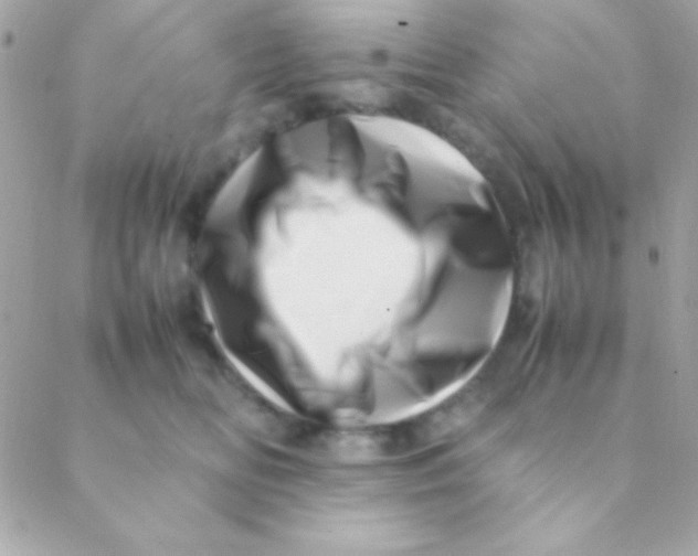 X0000088660518200706152036