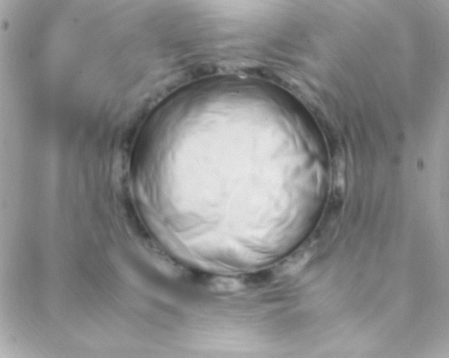 X0000088660519200706152036