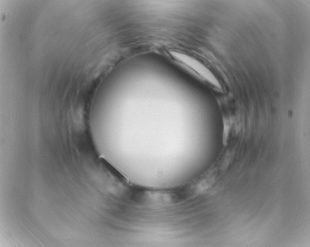 X0000088660520200706152036