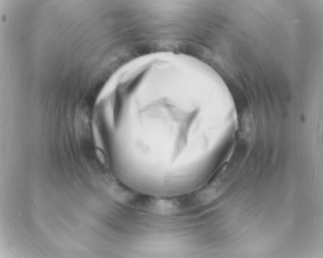 X0000088660522200706152036