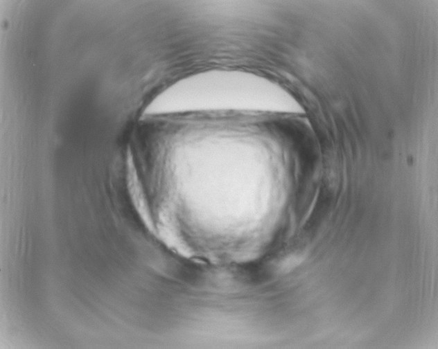 X0000088660523200706152036
