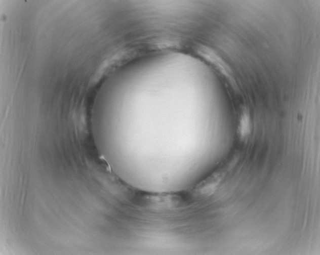 X0000088660524200706152036