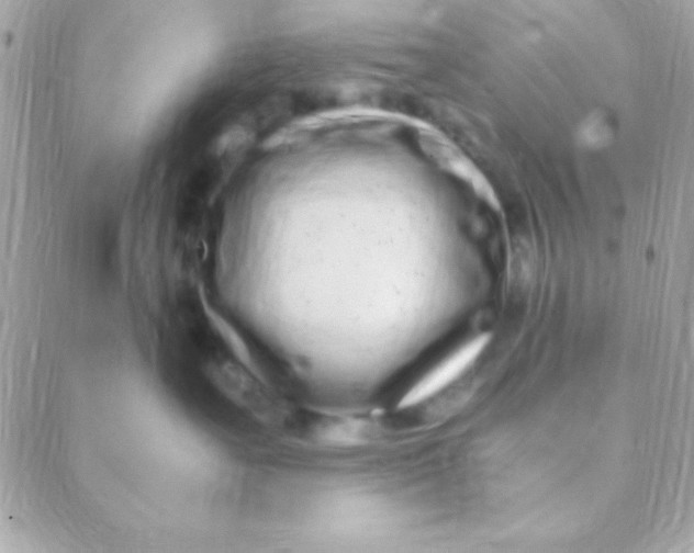 X0000088660527200706152035
