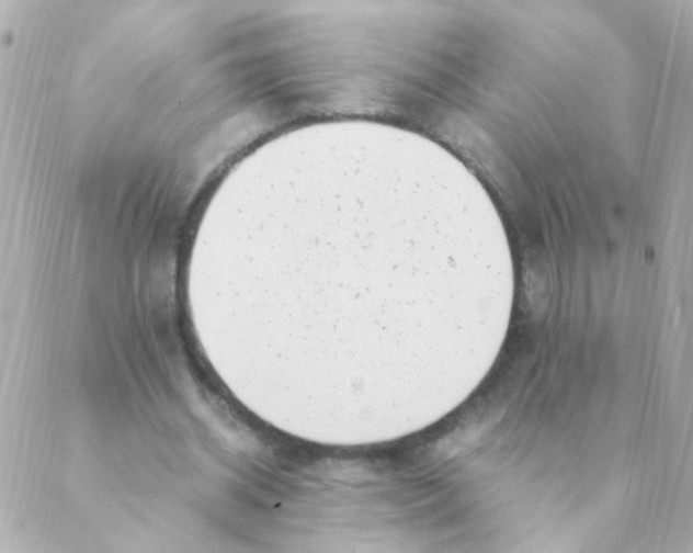 X0000088660534200706152035