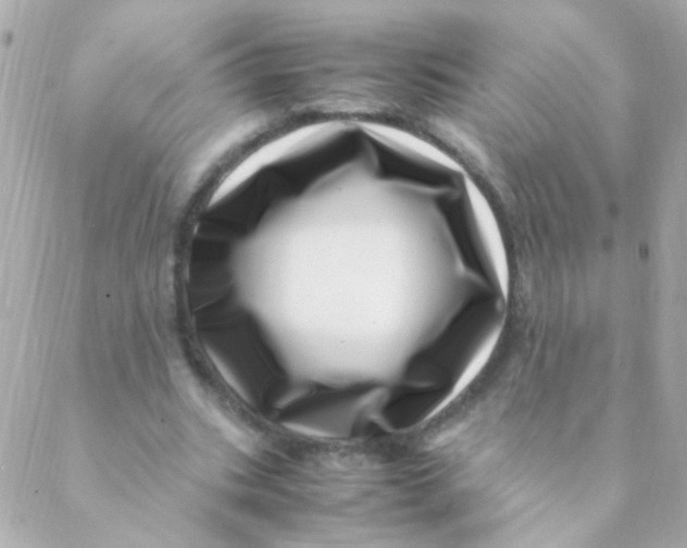 X0000088660535200706152035